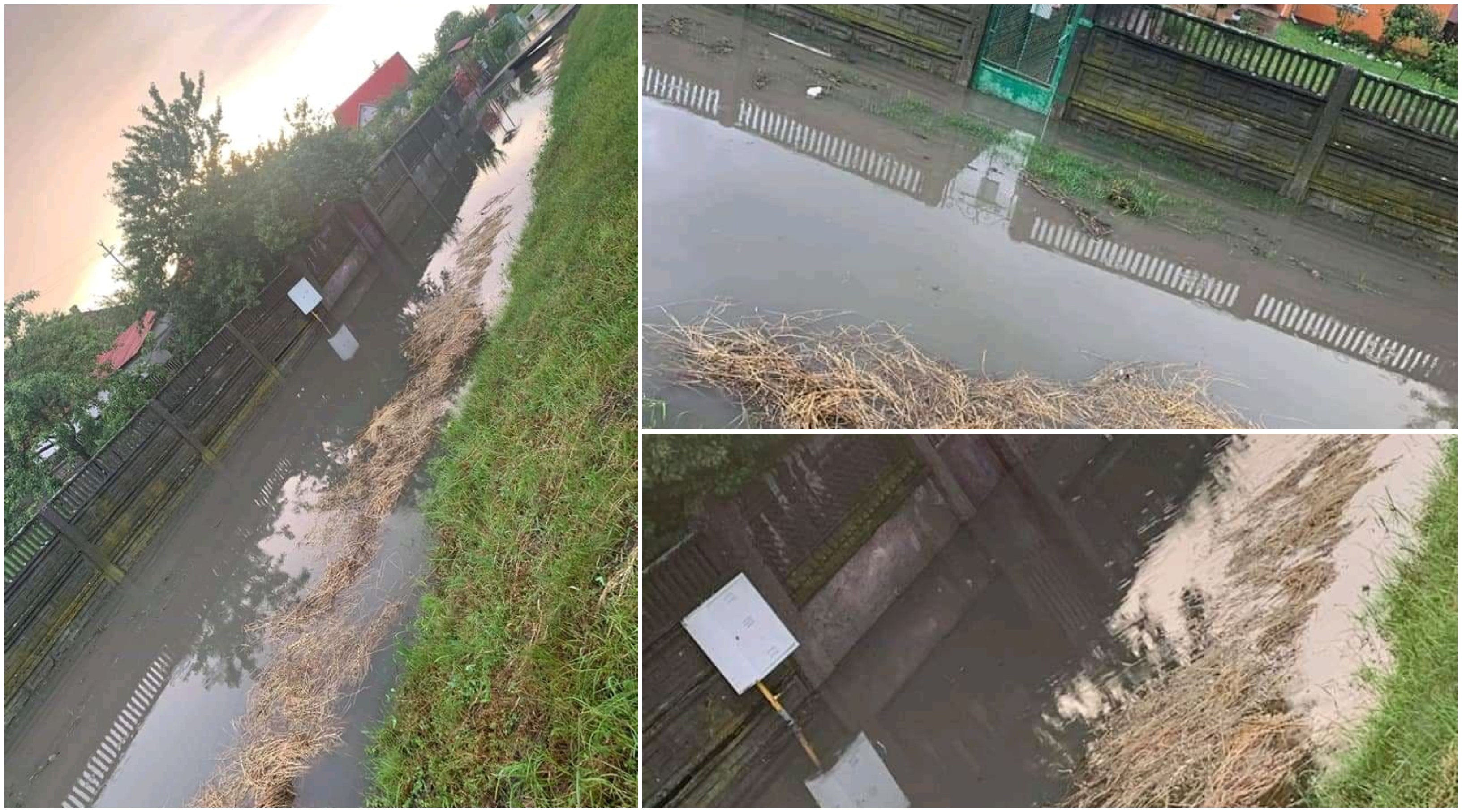 FOTOGALERIE. Inundații din Ardud. Oamenii cer ajutorul autorităților