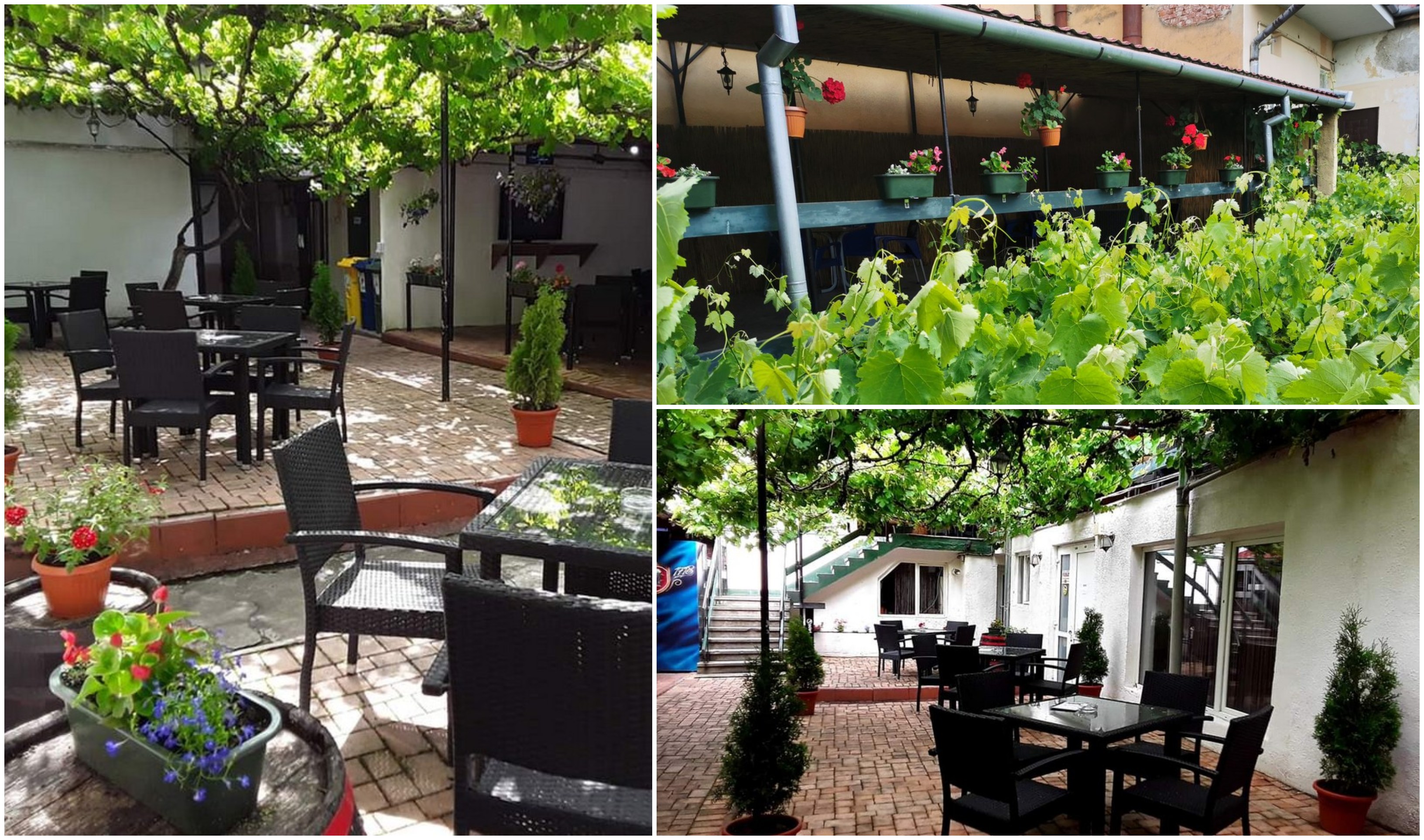 FOTOGALERIE. Terasă de poveste, cu iz parizian, în centrul Sătmarului. Cu prețuri mici și premii multe (P)