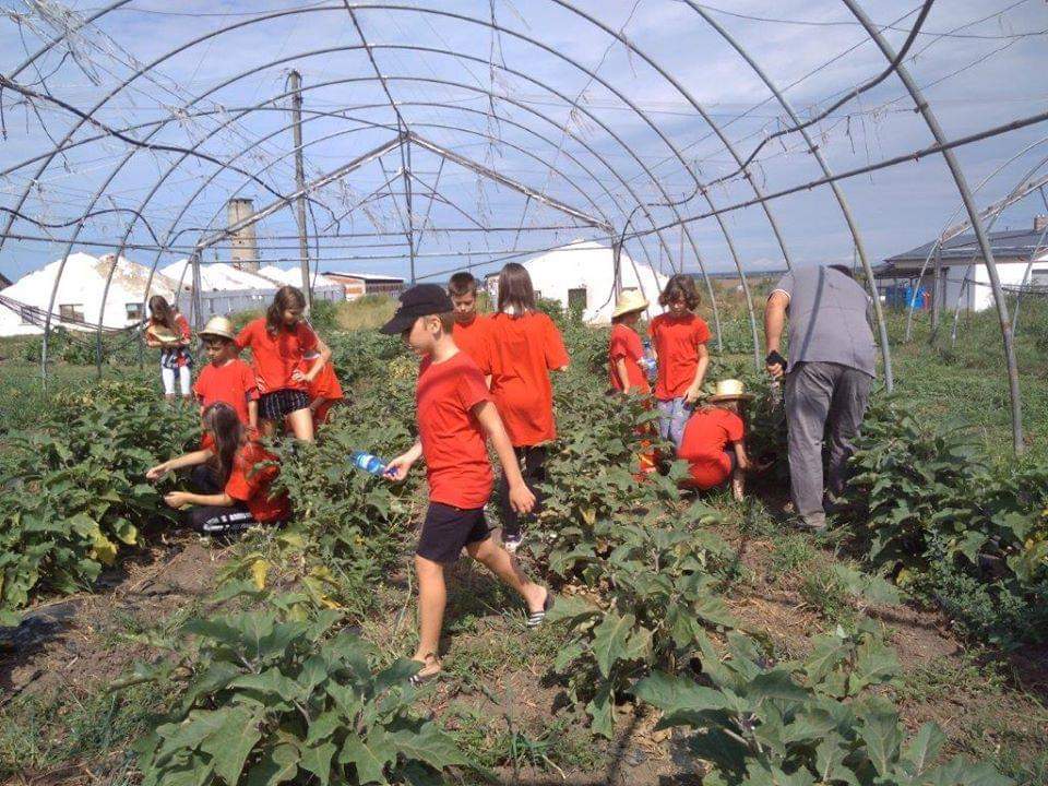 Közösen az állam gobndozásban élő gyermekekért