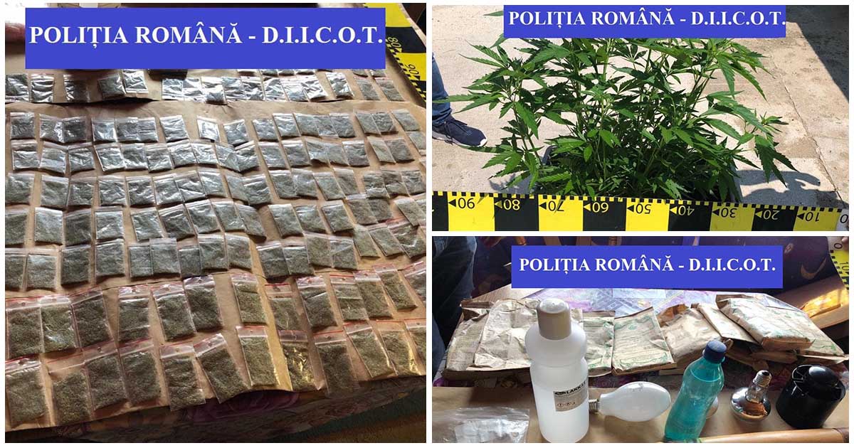 FOTO. Grupare de traficanți de droguri, luată pe sus de DIICOT în Satu Mare