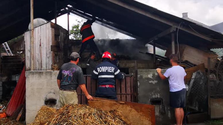 FOTO. Incendiu la o anexă gospodărească. Pompierii au salvat animalele