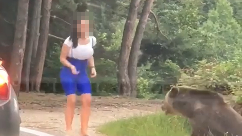 VIDEO. Inconștiență: Tânăra a vrut să își facă poze cu un urs. A fost la un pas de a fi atacată