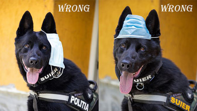 Fotografie virală. Șuier îți arată cum se poartă corect masca de protecție