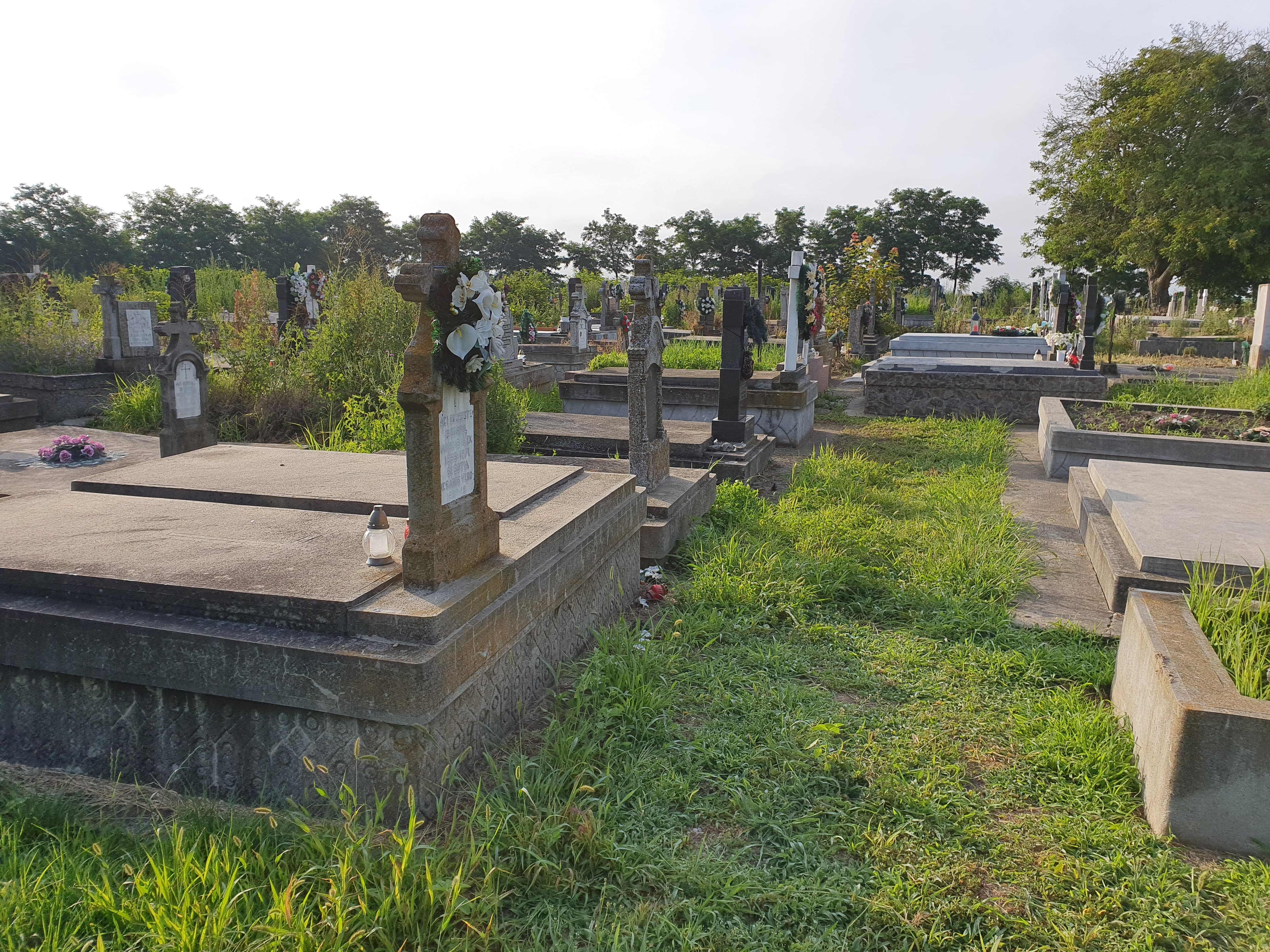 FOTOGALERIE. Cimitir invadat de buruieni. Curatorii luptă de ani întregi pentru o soluție