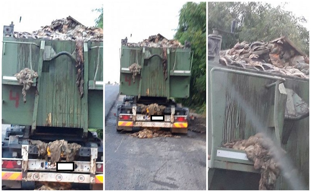 VIDEO. Explozie la un camion care transporta deșeuri animaliere de la Satu Mare