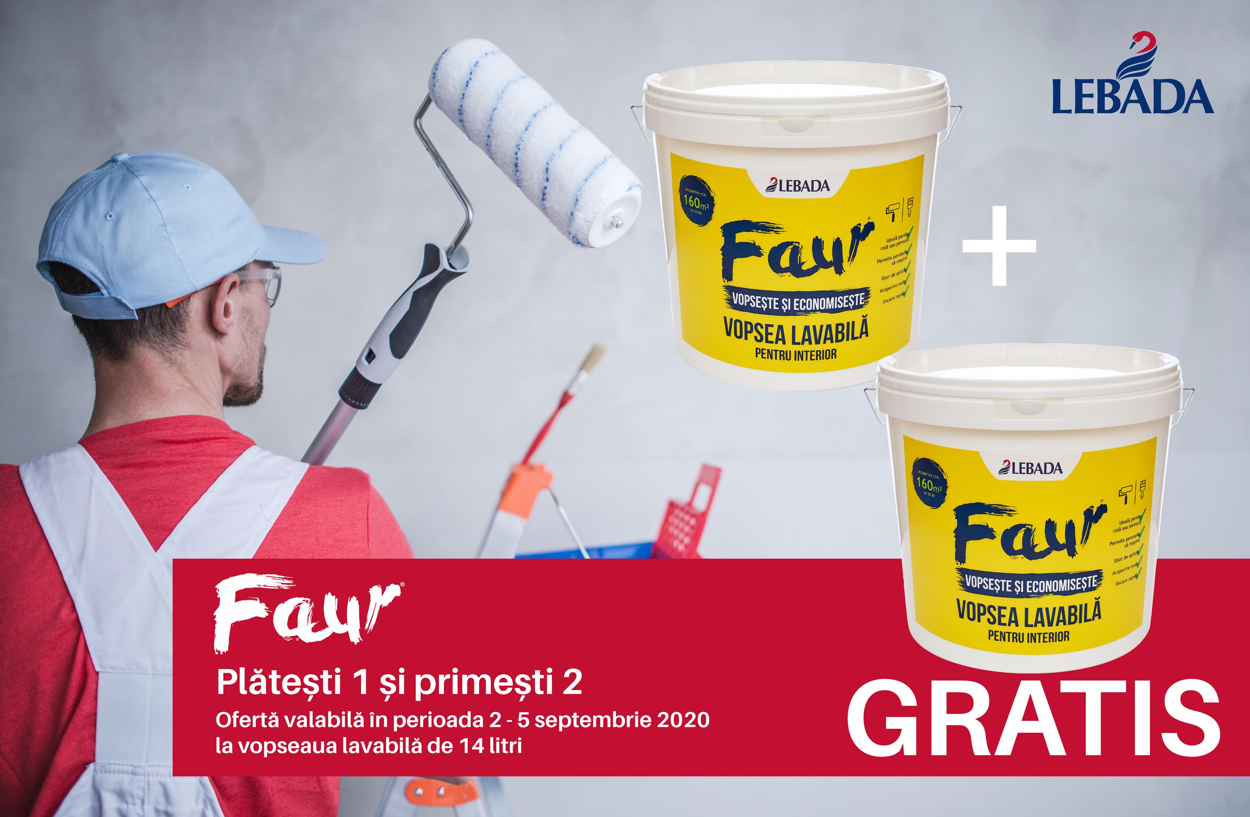 PROMOȚIE! Lebăda Satu Mare face cinste! Cumpărați o găleată de vopsea, a doua este gratis! (P)