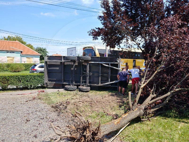 FOTOGALERIE. Accident în Satu Mare. Remorca unui autobuz a spulberat tot în cale