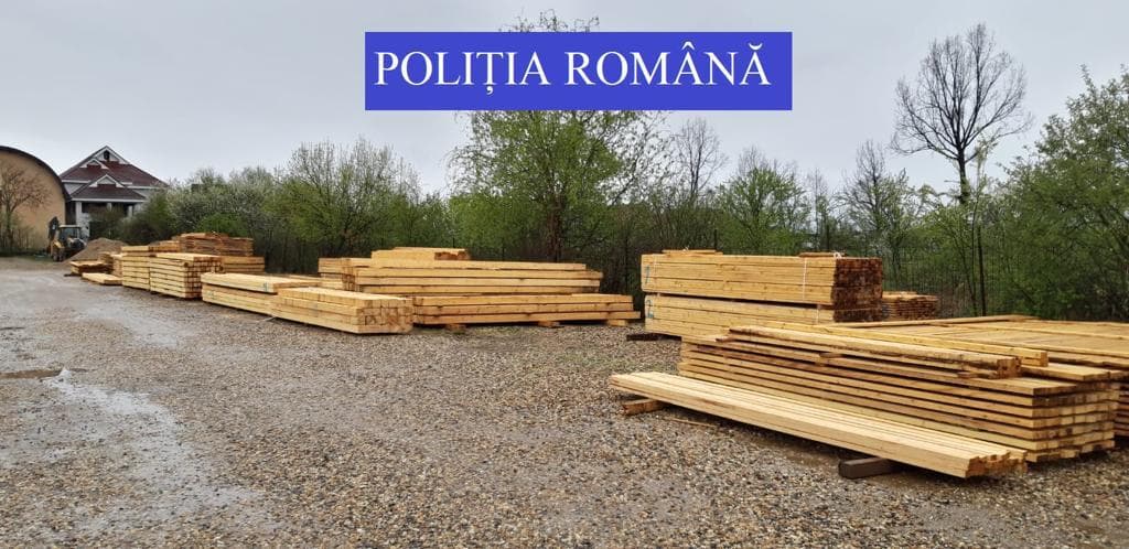 FOTO. Amenzi mari și lemn confiscat. Polițiștii sătmăreni au descins la depozite. Au verificat sute de transporturi