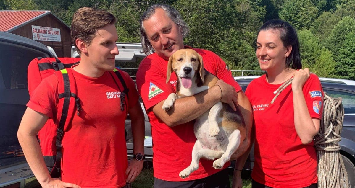 FOTO. Câine erou căzut într-o prăpastie de zeci de metri, în județ! Salvat după eforturi incredibile