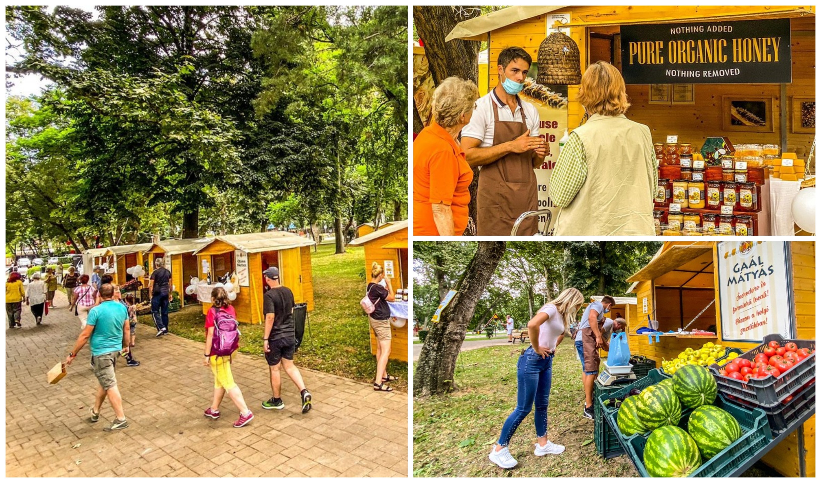 FOTOGALERIE. Primul târg al produselor sătmărene. Respect pentru producătorii locali