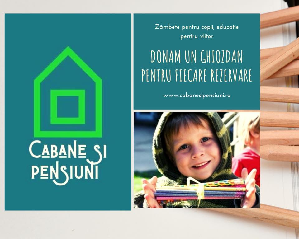 SUCCES. Sătmărenii care au făcut platforma unică de rezervare a cabanelor și pensiunilor din România