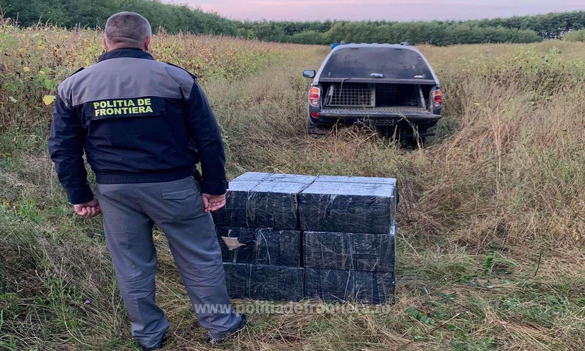 FOTO. Contrabandiști ”agricultori”. Țigări ascunse lângă culturi agricole, în județul Satu Mare