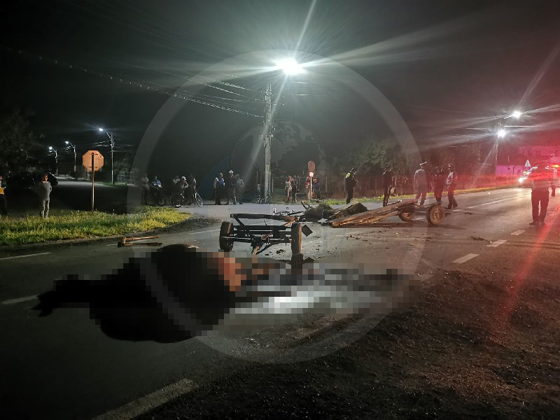 FOTO/VIDEO. Cal spulberat de o mașină în Odoreu. Căruțașul, transportat la Urgențe