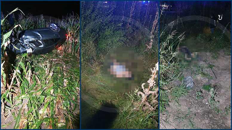 FOTOGALERIE. Accident rutier, cu doi morți, în județul Satu Mare! Tragedie pe DN 1F