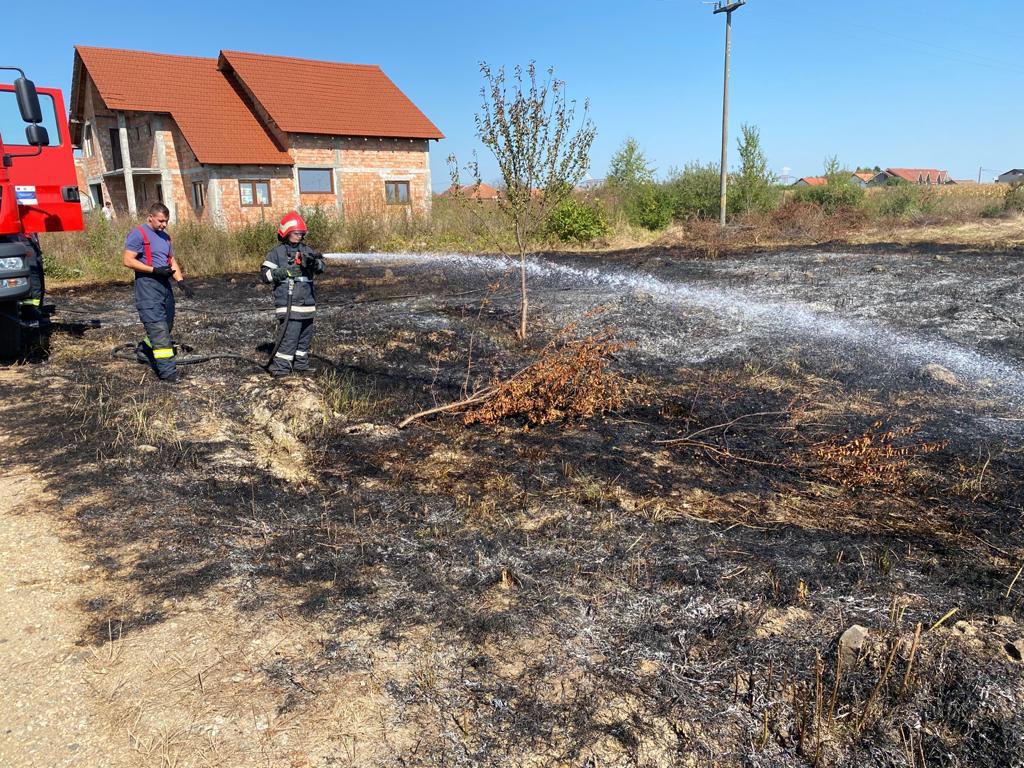 FOTO. Incendiu la marginea municipiului Satu Mare. A dat foc resturilor vegetale