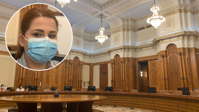 Ioana Bran, despre PNL: "Uită că legile și guvernarea se fac pentru oameni!"