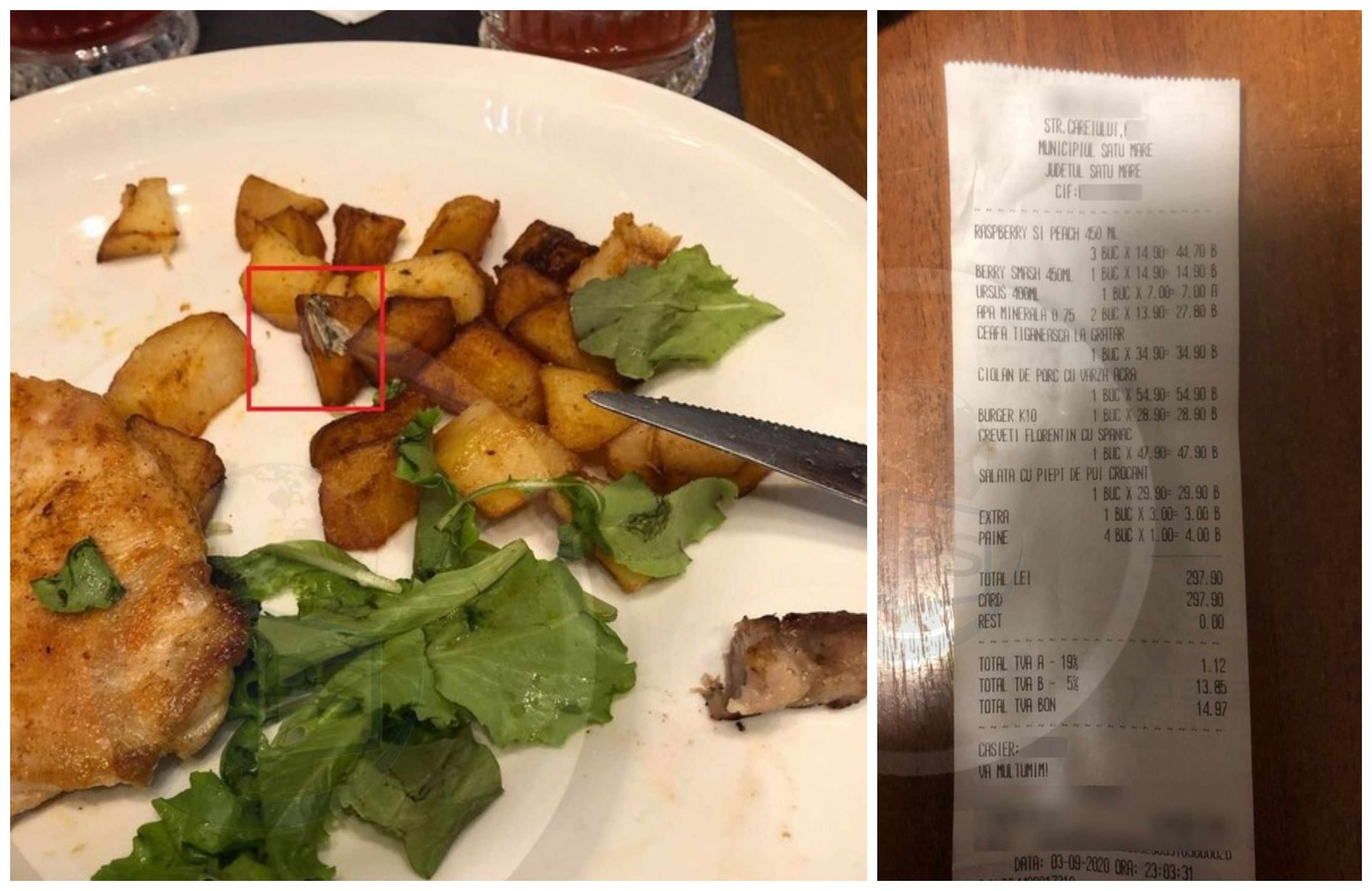 FOTO. ”Specialitatea” unui restaurant de fițe din Satu Mare: fluture prăjit! Nota de plată: sute de lei