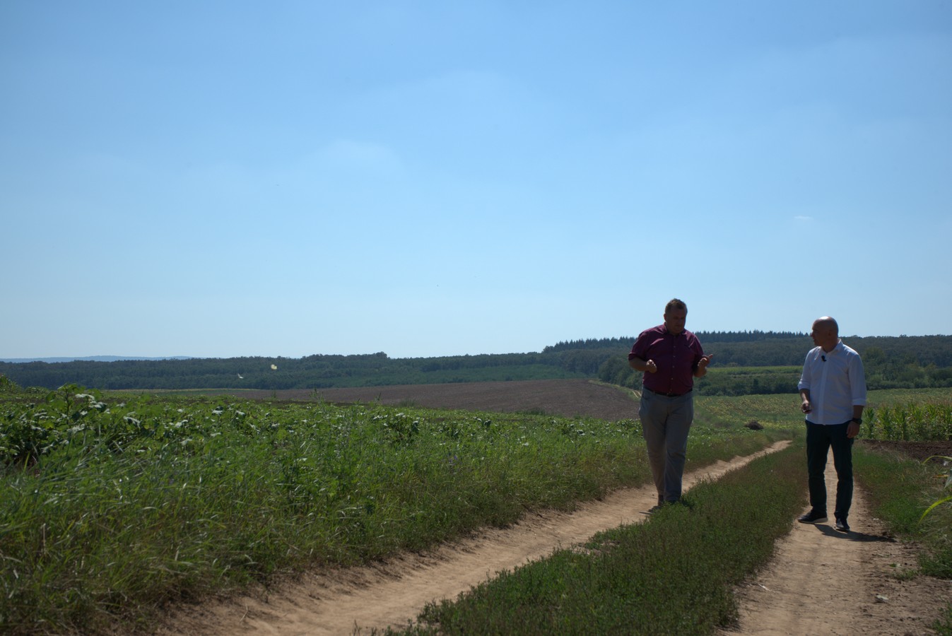 FOTO. Alianța USR PLUS Satu Mare atrage atenția asupra eficienței cheltuirii banilor europeni