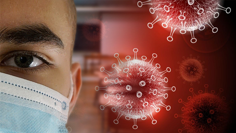 LISTA școlilor din județul Satu Mare. Mii de elevi fac școala online