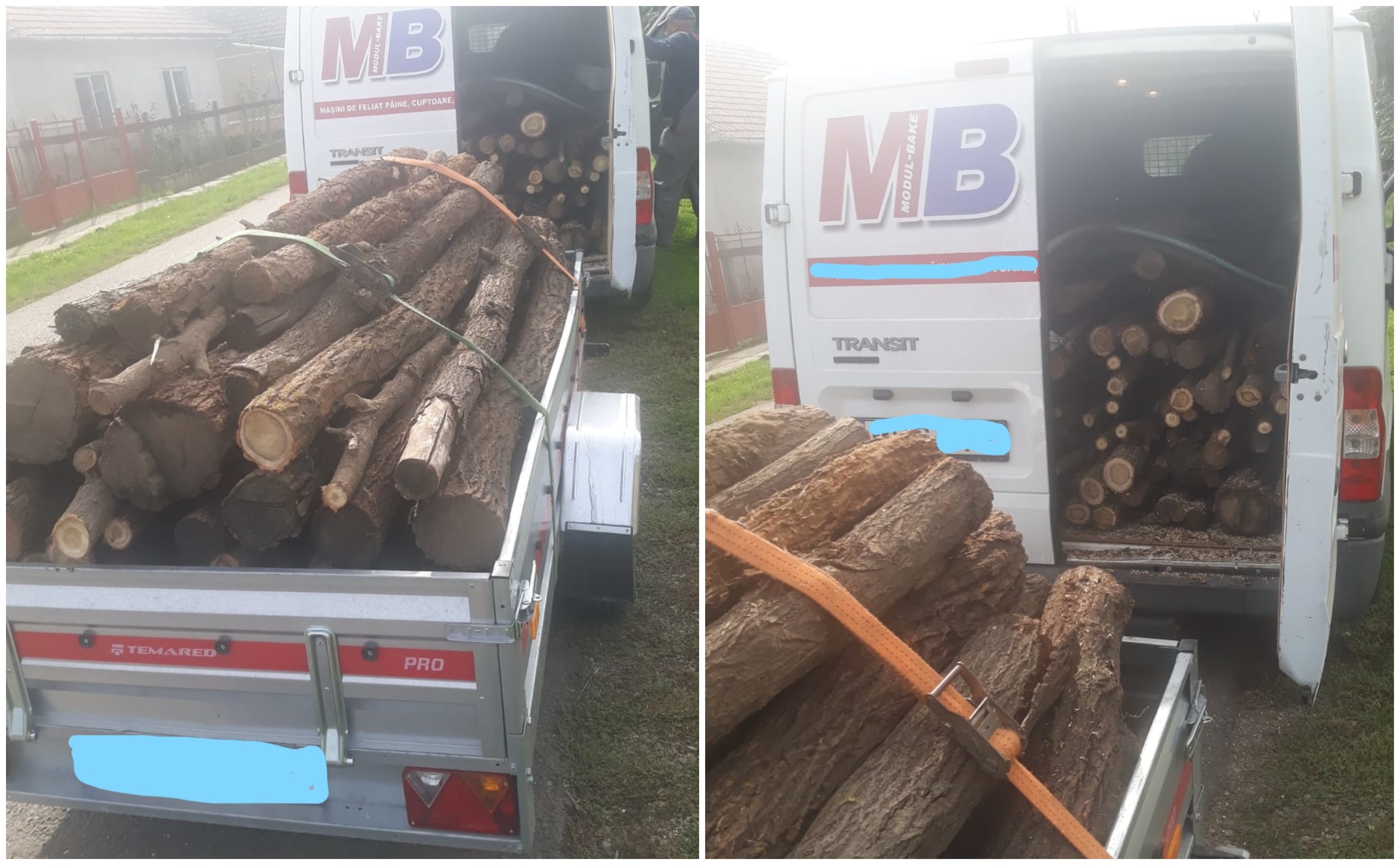 FOTO. A început marea ”aprovizionare” ilegală cu lemne pentru iarnă în mediul rural