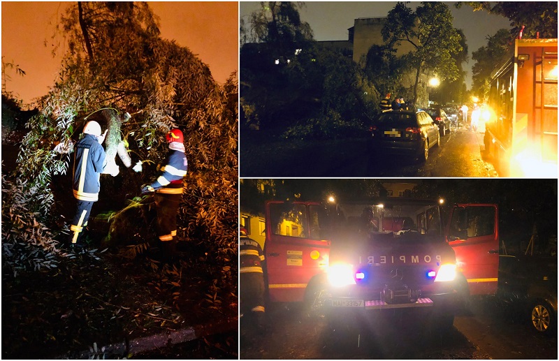FOTOGALERIE. Crengi căzute peste mașini în Cartierul Micro 17! Au intervenit pompierii