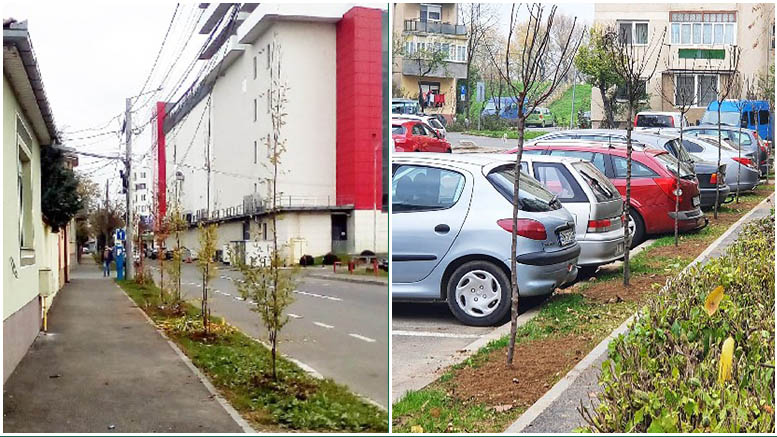 FOTO.Plantări de toamnă la Satu Mare: peste 1.000 de arbori, sute de arbuști și gard viu