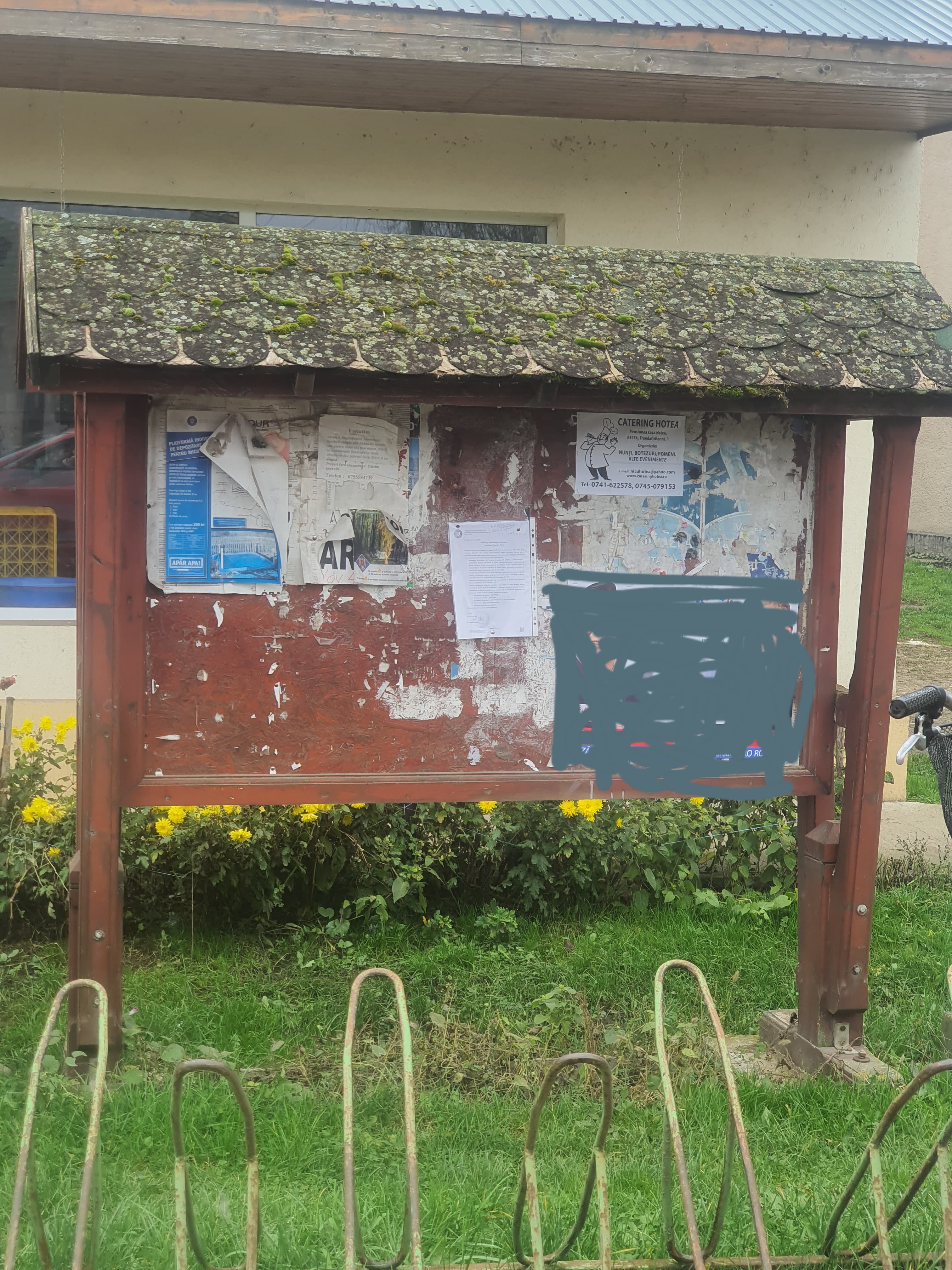 FOTO. Marcela Papici, candidat independent la Camera Deputaților: ”Legea e facultativă pentru unii primari!”