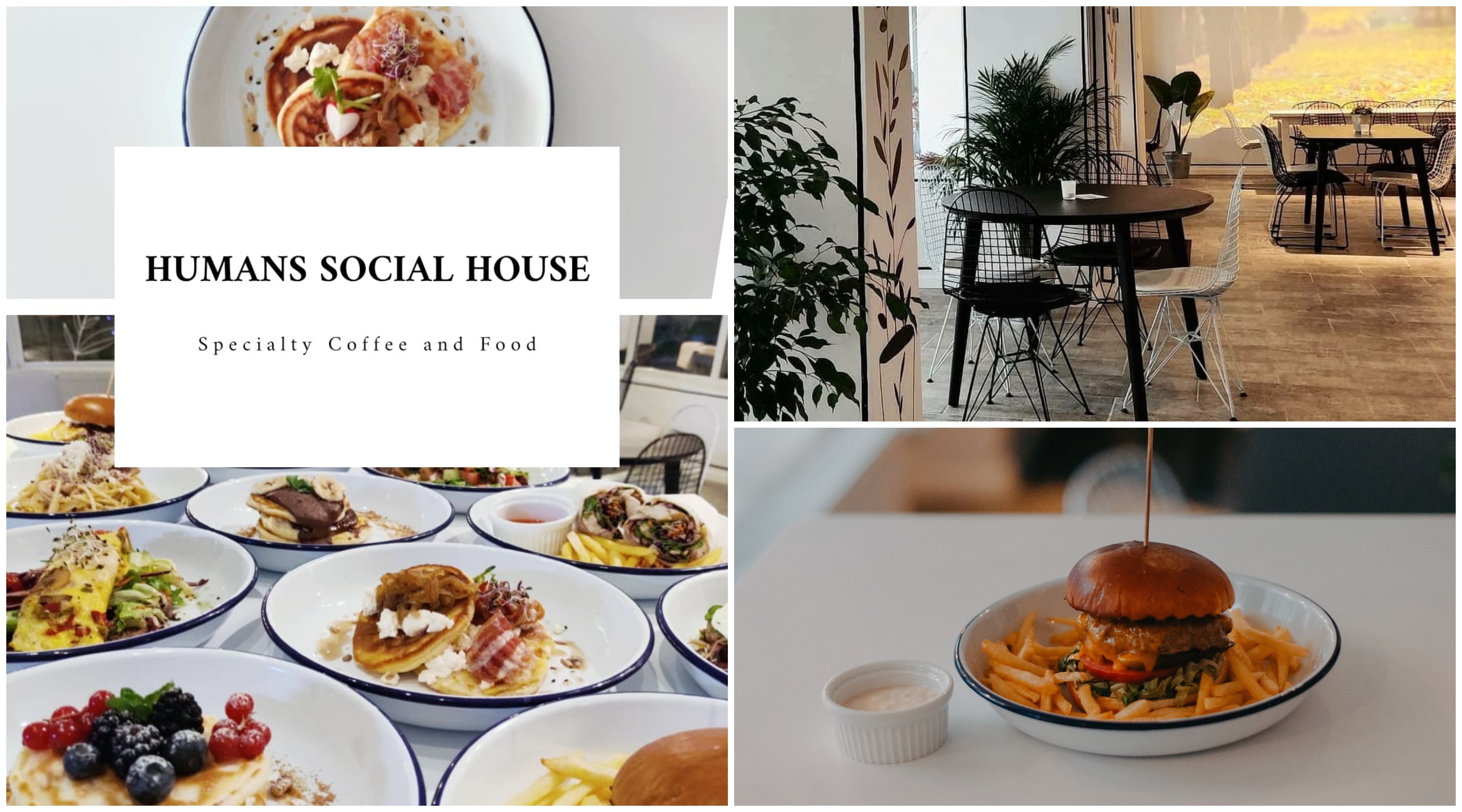 FOTOGALERIE. Humans Social House Satu Mare: Tradiția englezească, la superlativ