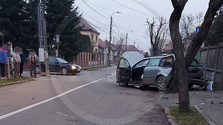 FOTO. Még a fát is kidöntötte