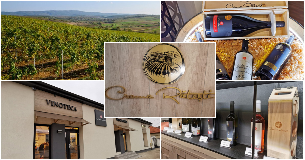 FOTOGALERIE. Mândria Sătmarului! Podgoriile Răteștiului, transformate în brand național