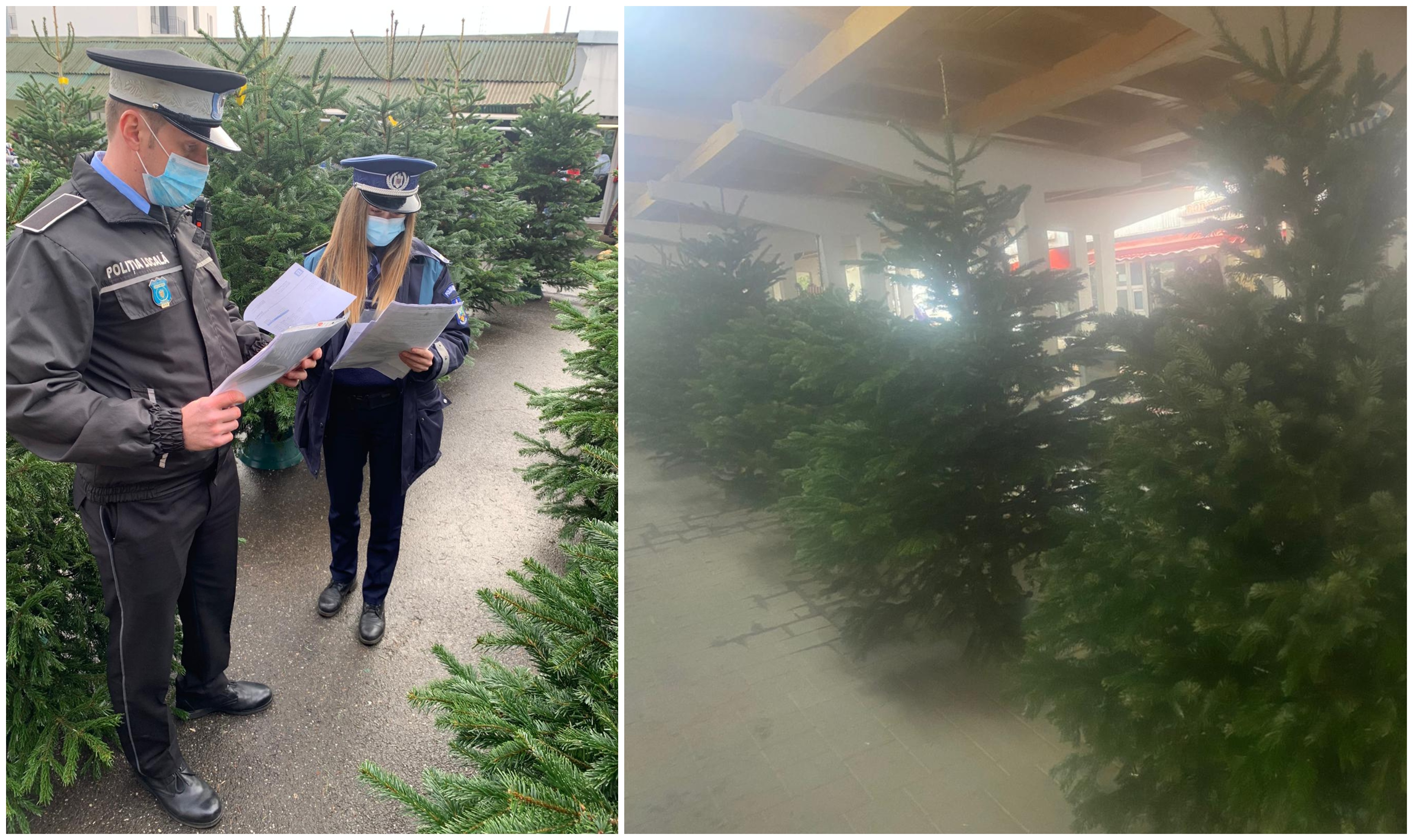 FOTO. Plouă cu amenzi. Polițiștii fac controale la sânge la vânzătorii de brazi din județ