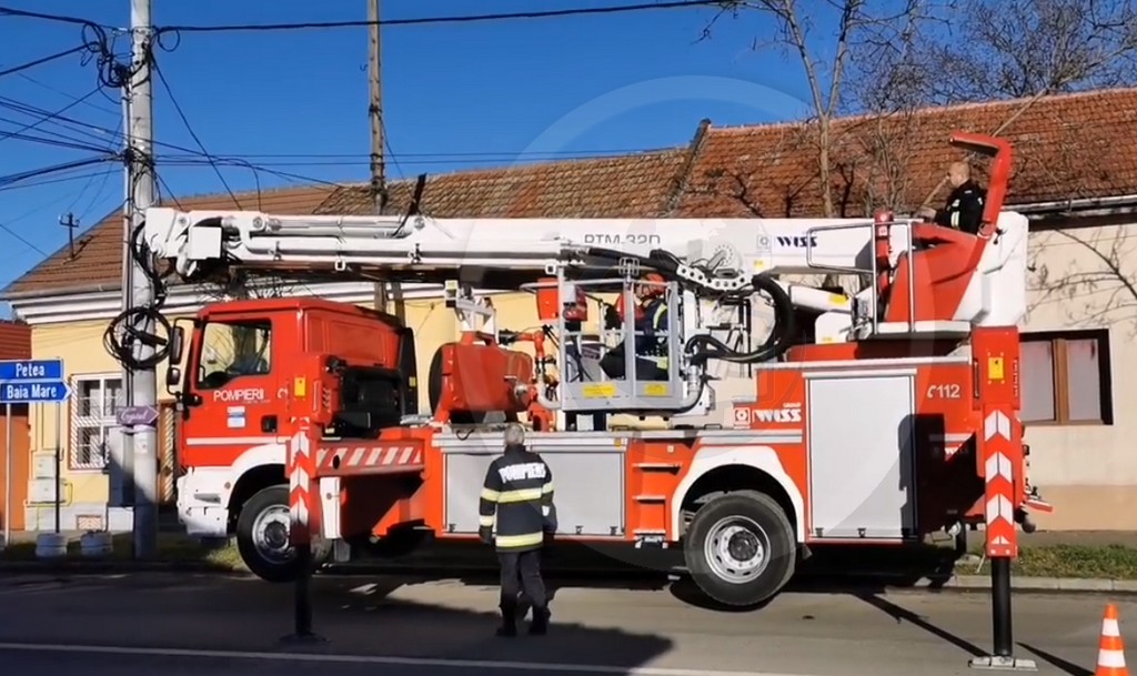 VIDEO. O pisică ”a glumit” cu pompierii, în Satu Mare. A fugit de salvatori