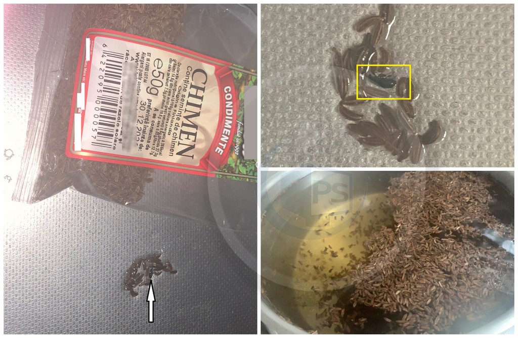 FOTO. Nou, în municipiul Satu Mare. Ceai de chimen cu gândac