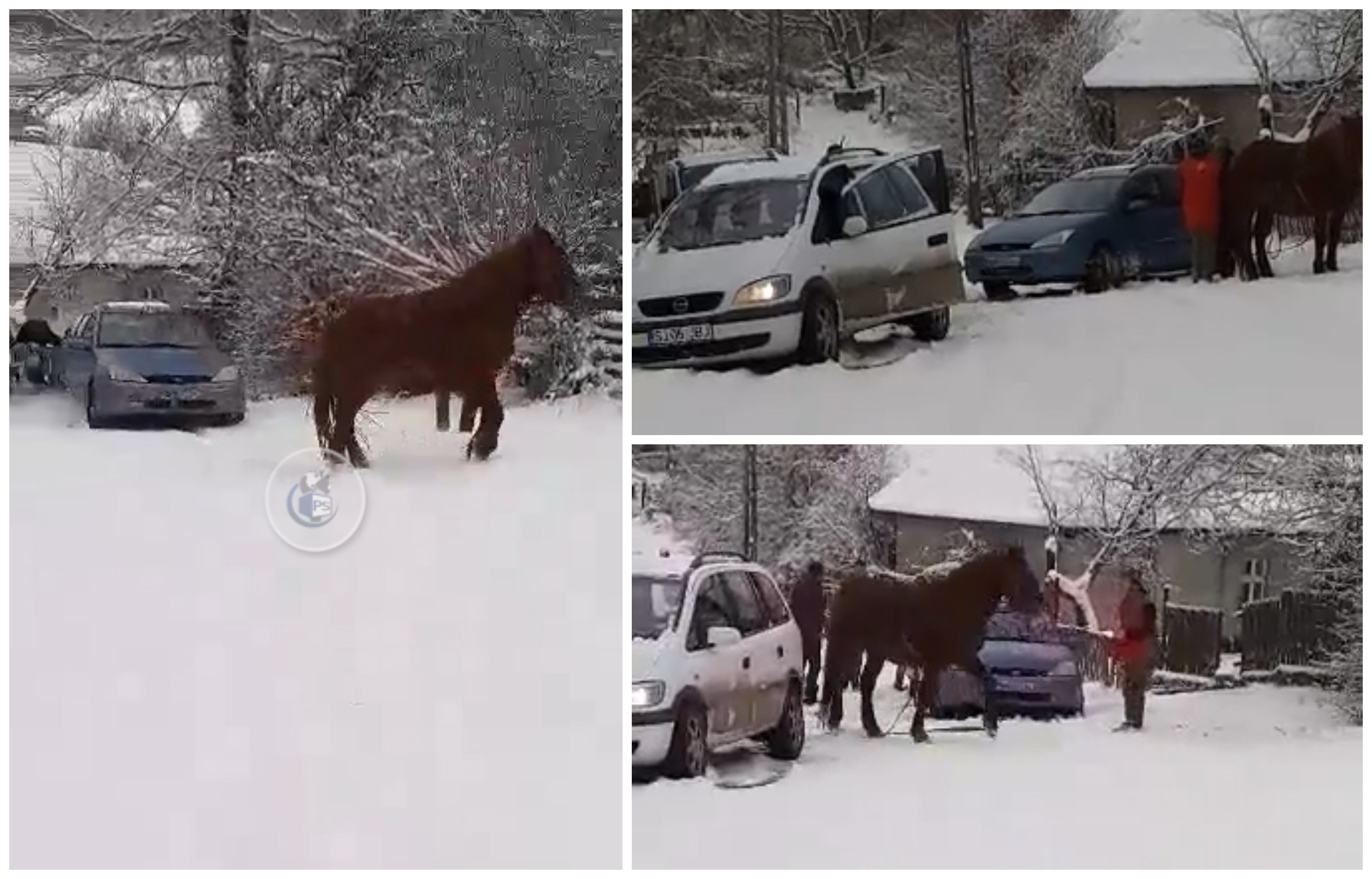 VIDEO. ”Deszăpezire” ca la Satu Mare. Mașini împotmolite, trase cu calul în județ