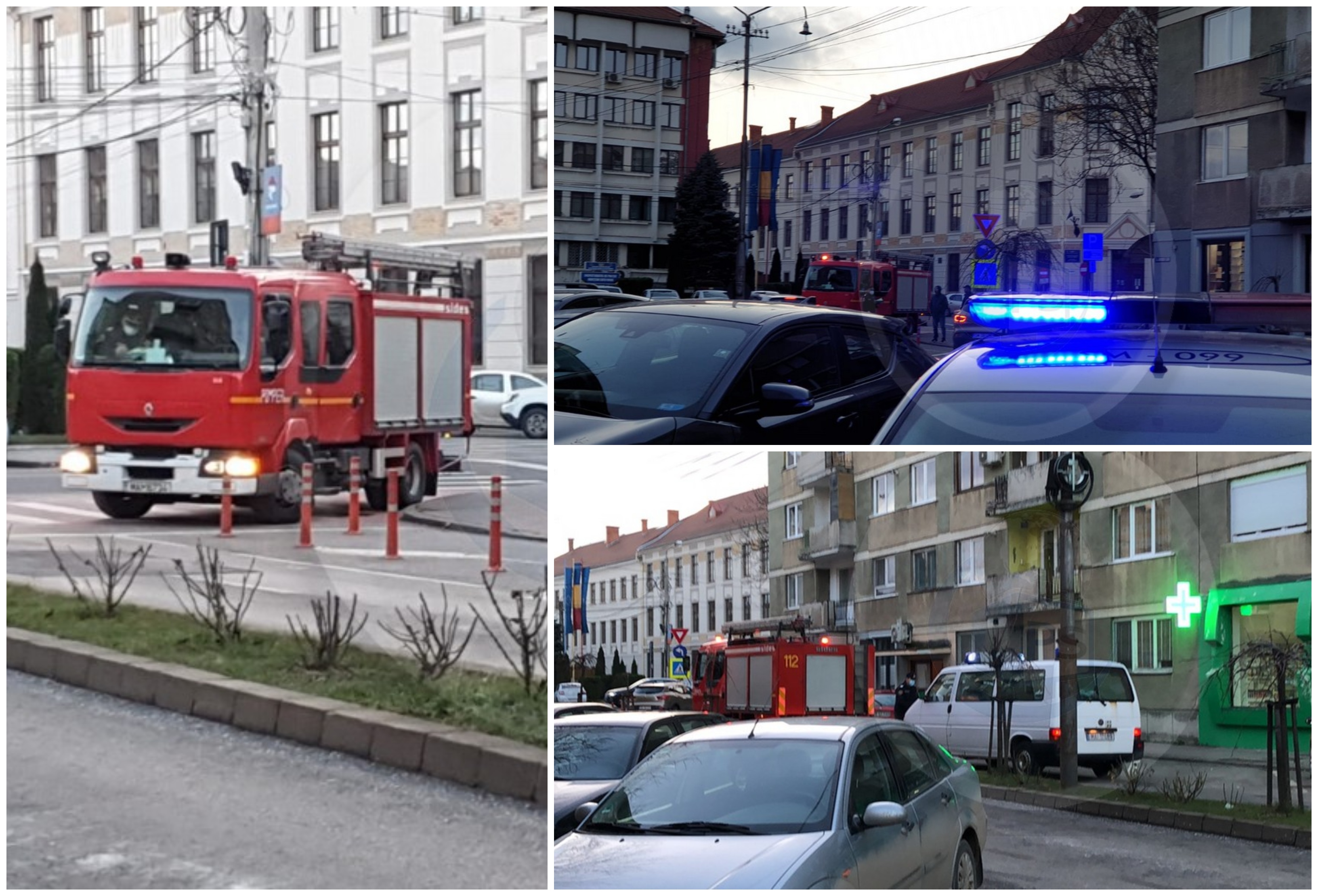 Képgaléria. Napok óta feküdt magatehetetlenül, törött lábbal