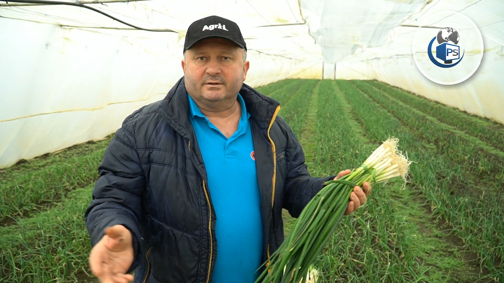 VIDEOREPORTAJ. Mândria Sătmarului. Ceapă, ridichi și roșii bio, produse în județ