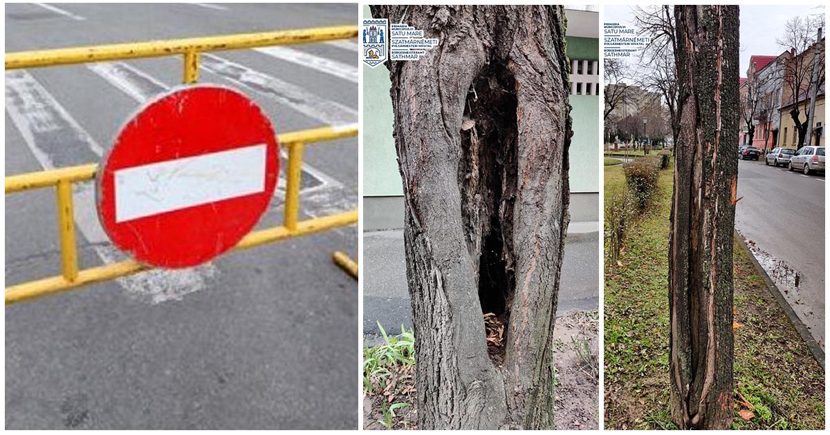 FOTO. Se anunță restricții de circulație în zona centrală veche. Vor fi eliminați mai mulți arbori periculoși
