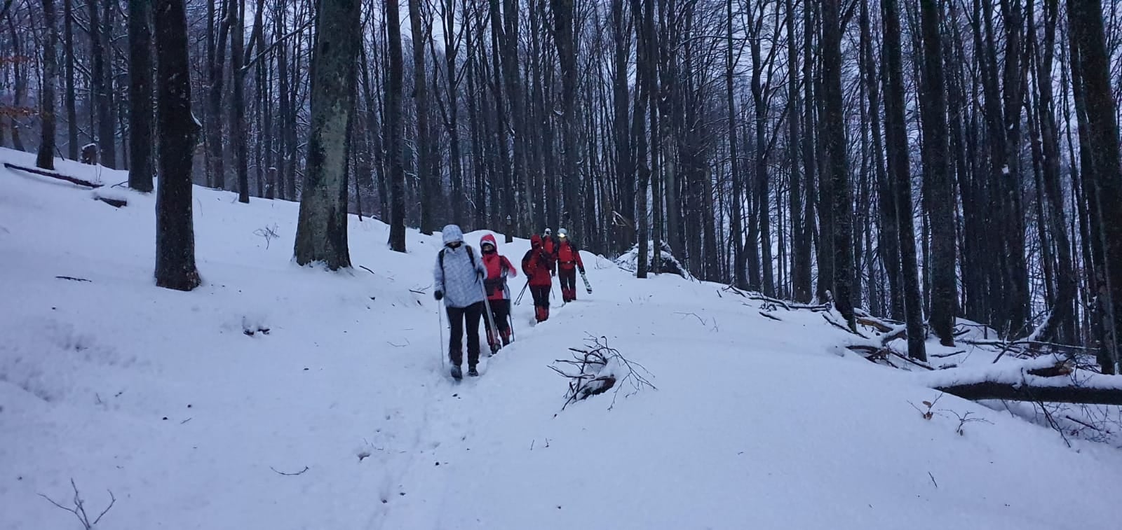 FOTO. Trei tinere din Cluj, salvate de salvamontiștii sătmăreni