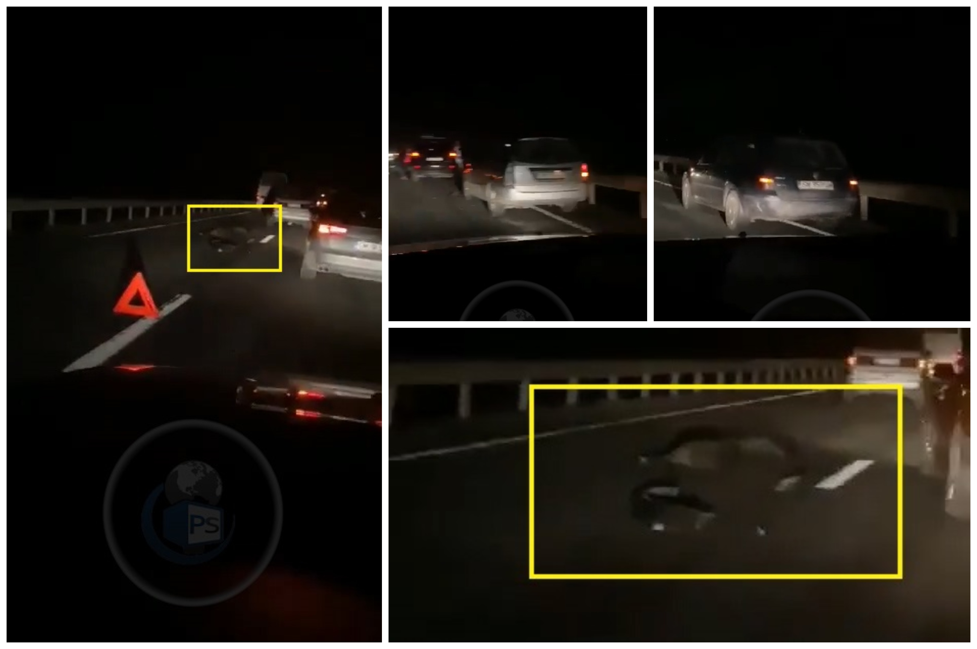 FOTO/VIDEO. Accident în lanț provocat de un mistreț pe DN19, în județul Satu Mare