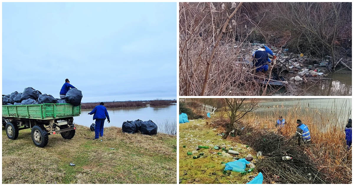 FOTO. Curățenie și pe malurile Someșului, de Ziua Apei. Acțiuni de igienizare și pe Crasna și la Călinești-Oaș
