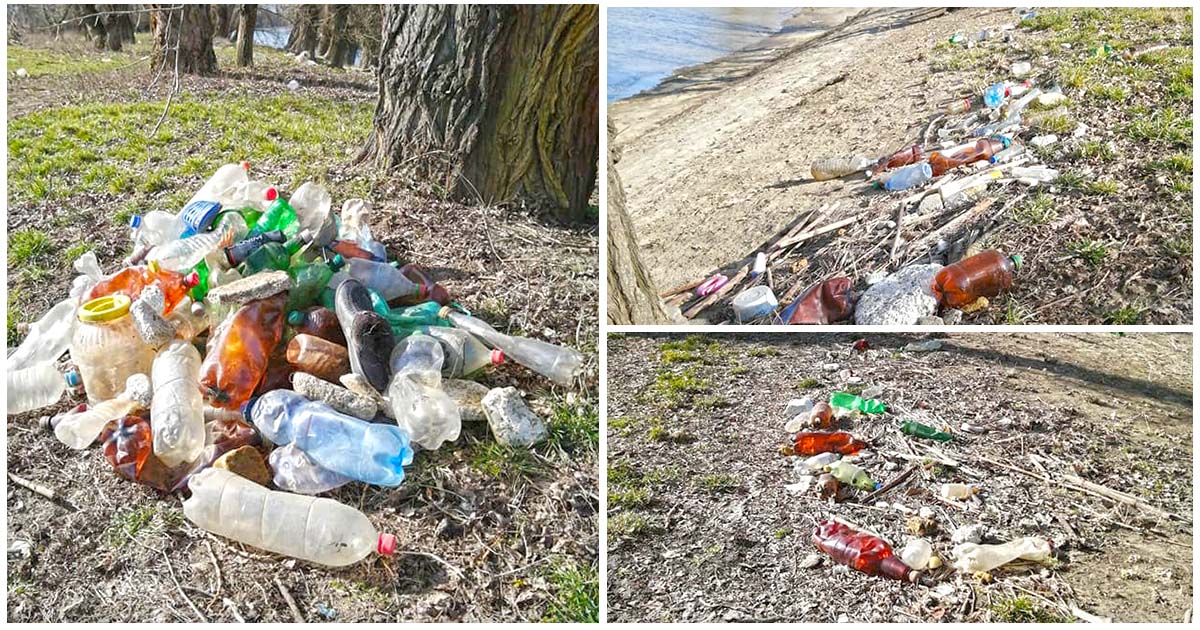 FOTO. Sătmărenii, tot mai revoltați de poluarea malurilor Someșului. Ajung să strângă singuri gunoaiele