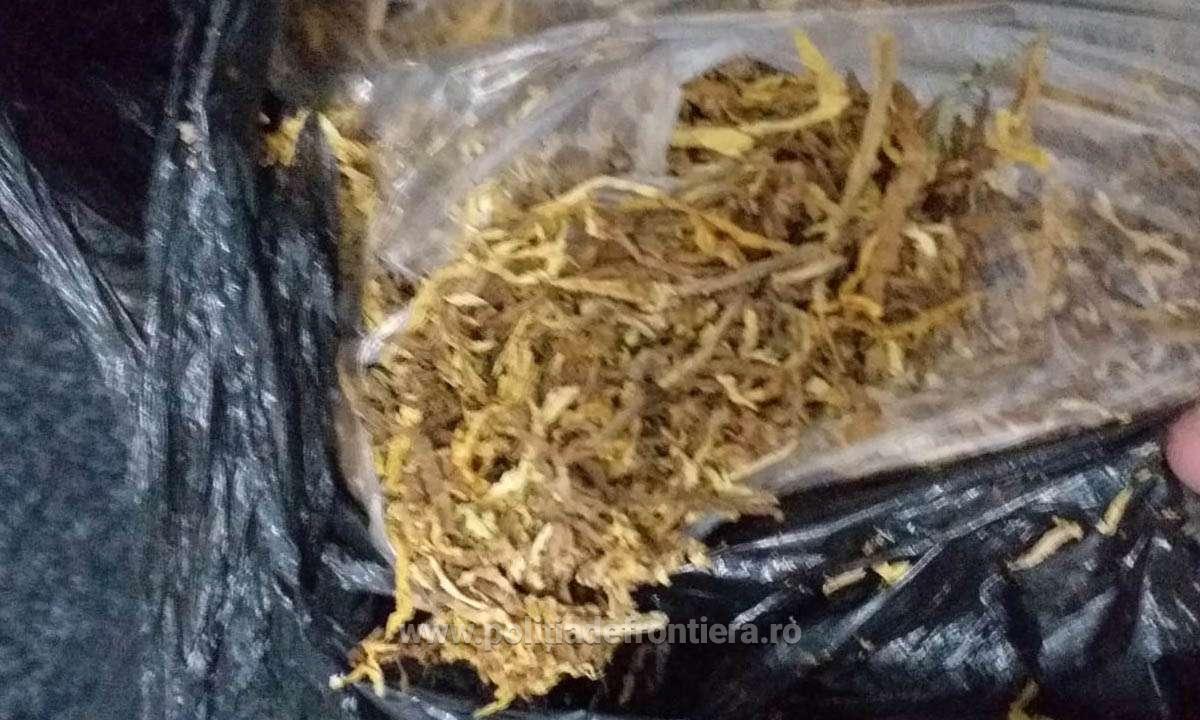 FOTO. Prinsă cu kilograme de tutun la Urziceni. Femeia s-a ales cu dosar penal