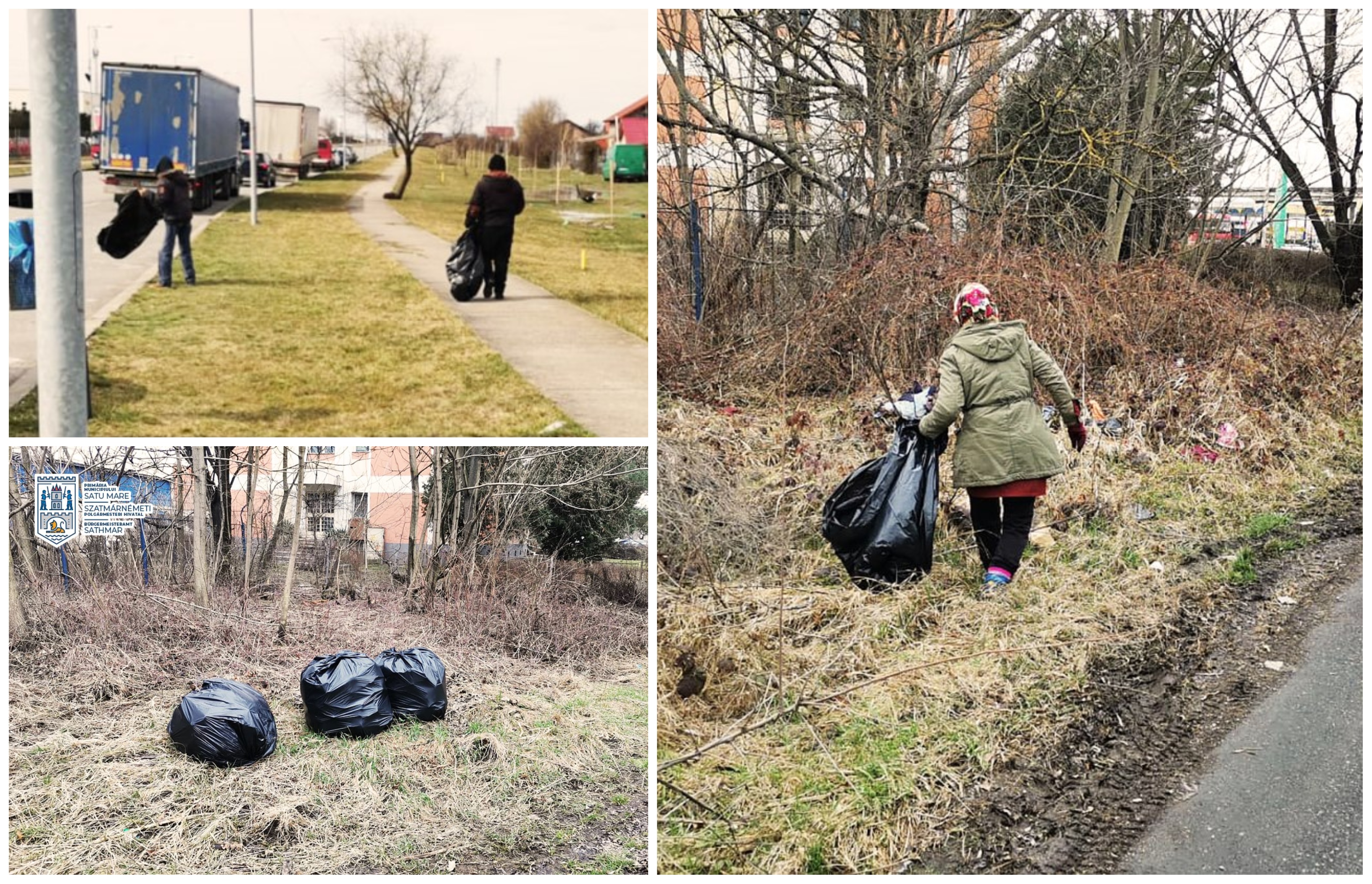 FOTOGALERIE. Asistații social, scoși la muncă în municipiul Satu Mare