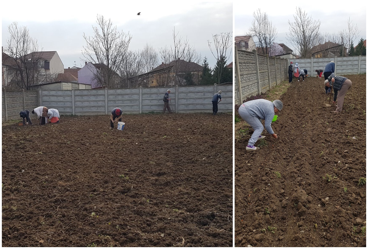 FOTOGALERIE. Persoanele fără adăpost din Satu Mare, învățate să se simtă utile