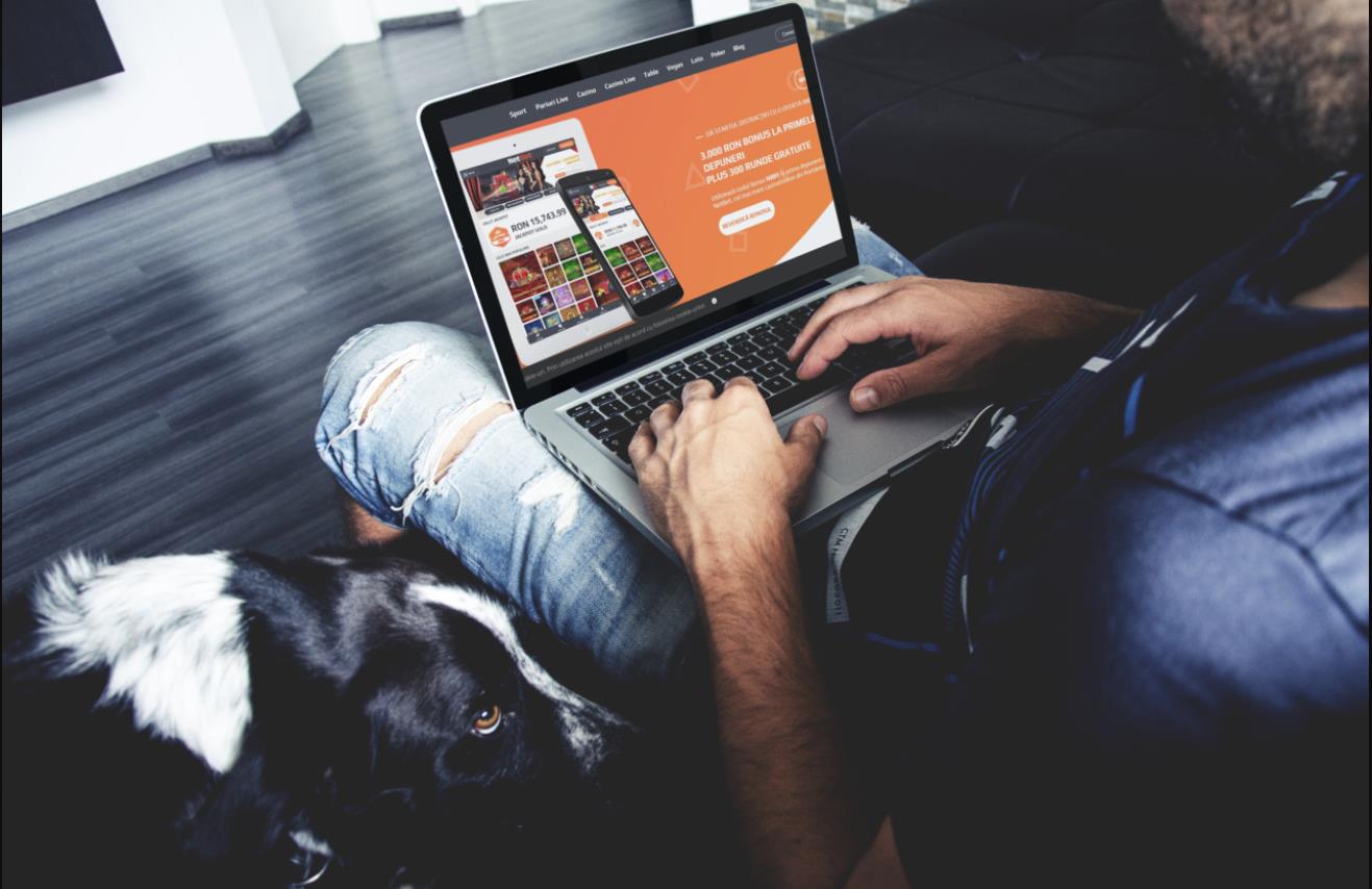 Istoria Netbet în România și contribuția la economie