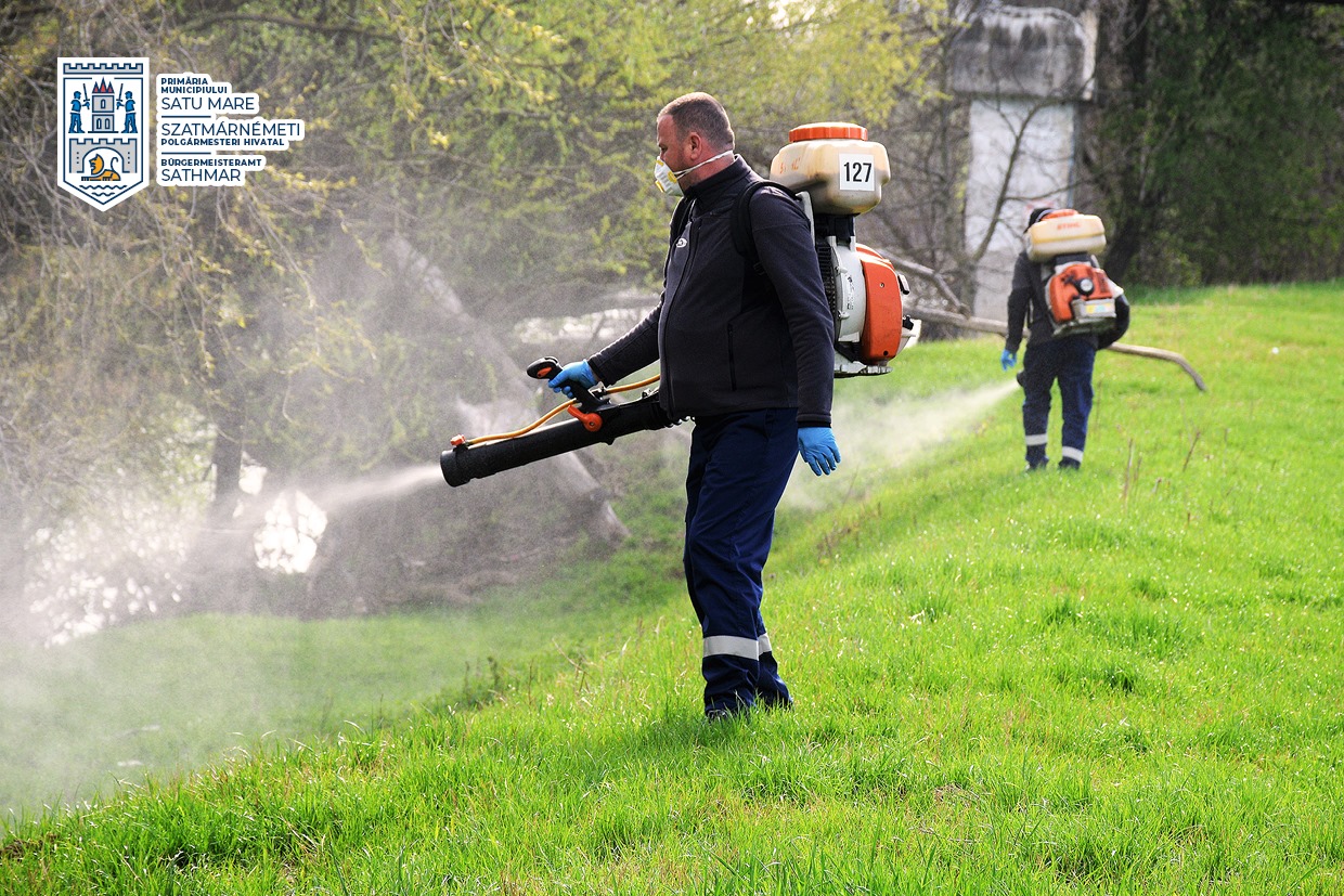 Dezinsecție, în această seară, în municipiul Satu Mare