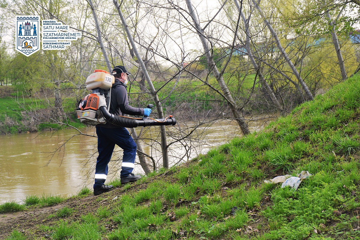 West Nile. DSP Satu Mare trage un semnal de avertizare. Primăriile trebuie să intensifice dezinsecțiile