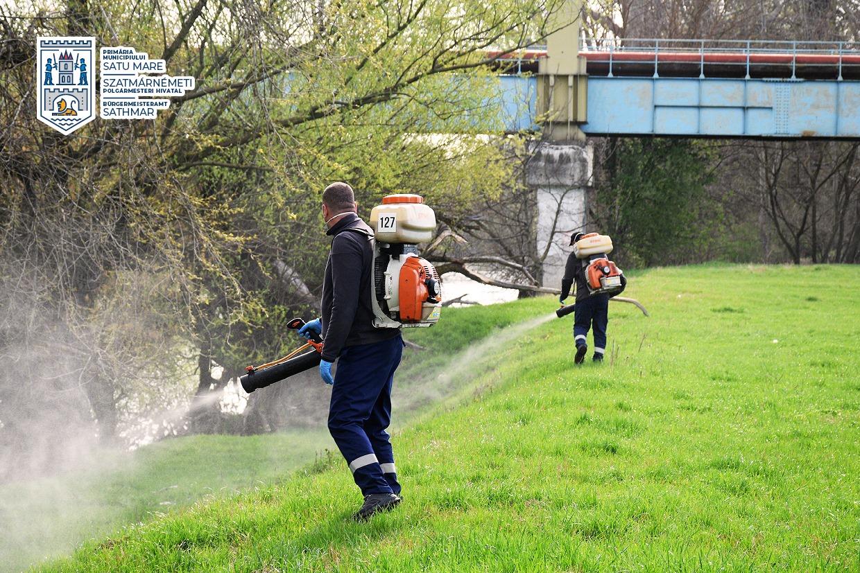Noi campanii de dezinsecție în municipiul Satu Mare. Vor avea loc în cursul serii