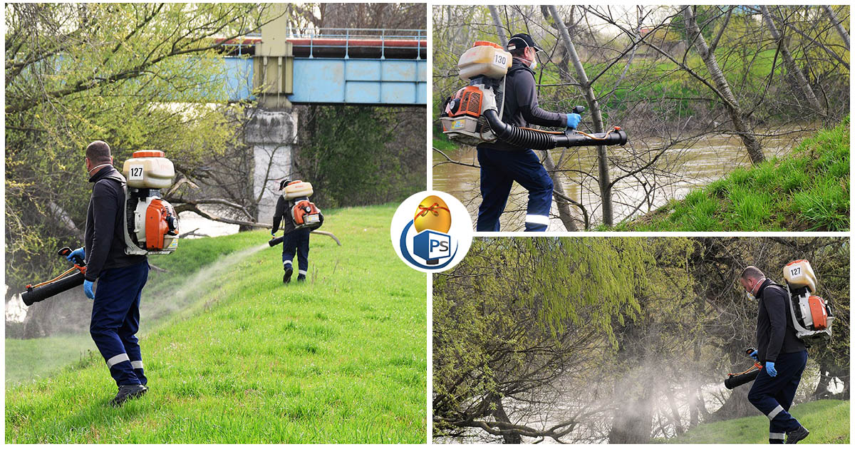FOTO. A început dezinsecția. Sătmărenii, rugați să nu uite de terenurile private