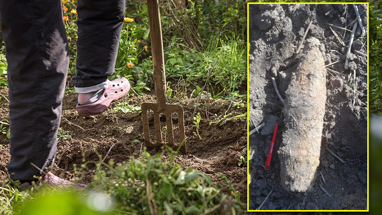 FOTO. O sătmăreancă, la un pas să sară în aer! A dat în grădină peste o bombă